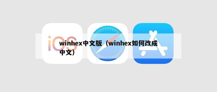 winhex中文版（winhex如何改成中文）