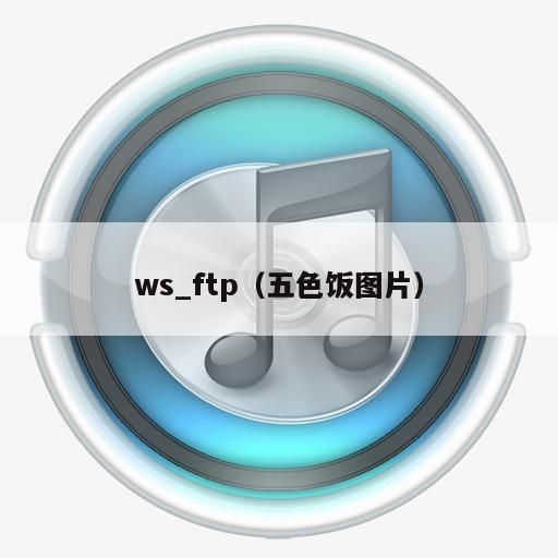 ws_ftp（五色饭图片）