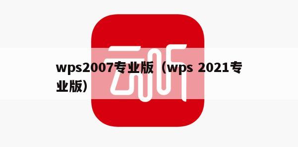 wps2007专业版（wps 2021专业版）