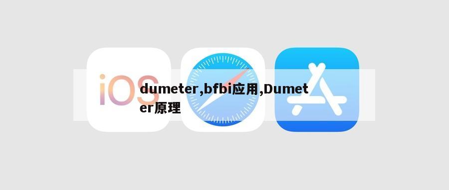 dumeter,bfbi应用,Dumeter原理