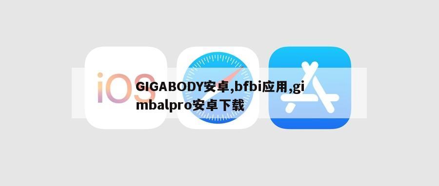 GIGABODY安卓,bfbi应用,gimbalpro安卓下载