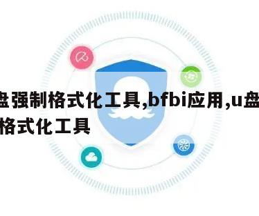 u盘强制格式化工具,bfbi应用,u盘强行格式化工具