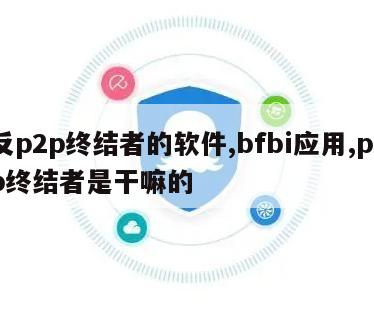 反p2p终结者的软件,bfbi应用,p2p终结者是干嘛的