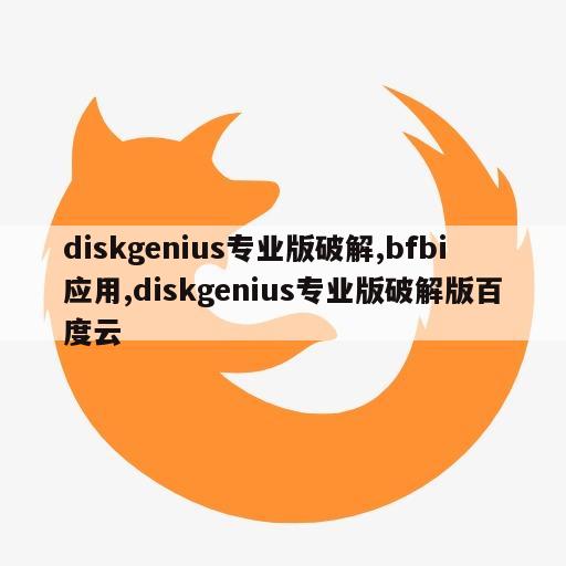 diskgenius专业版破解,bfbi应用,diskgenius专业版破解版百度云