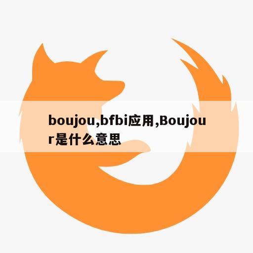 boujou,bfbi应用,Boujour是什么意思